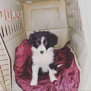 Meet your Posher, Connor